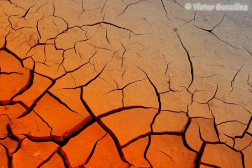 Fotografia de Natureshots - Galeria Fotografica: Galeria - Foto: Barro