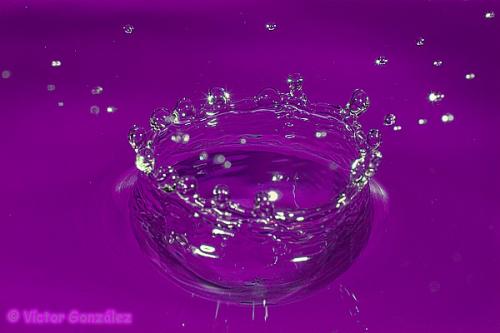 Fotografia de Natureshots - Galeria Fotografica: Galeria - Foto: Gota