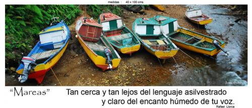 Fotografia de fotonatura3d - Galeria Fotografica: AYSN... y las riquezas amenazadas de la patagonia chilena - Foto: MAREAS