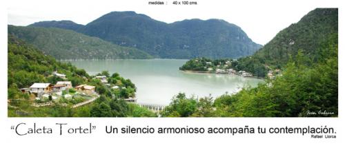 Fotografia de fotonatura3d - Galeria Fotografica: AYSN... y las riquezas amenazadas de la patagonia chilena - Foto: CALETA TORTEL