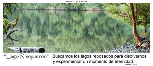 Fotografia de fotonatura3d - Galeria Fotografica: AYSN... y las riquezas amenazadas de la patagonia chilena - Foto: LAGO RISOPATRN