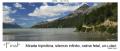 Fotos de fotonatura3d -  Foto: AYSN... y las riquezas amenazadas de la patagonia chilena - FINAL
