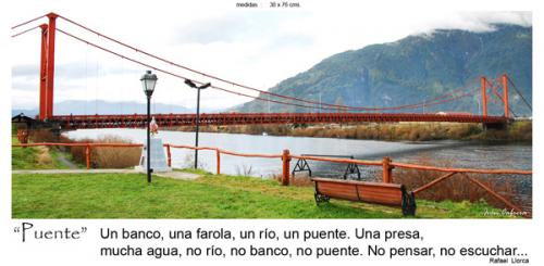 Fotografia de fotonatura3d - Galeria Fotografica: AYSN... y las riquezas amenazadas de la patagonia chilena - Foto: PUENTE