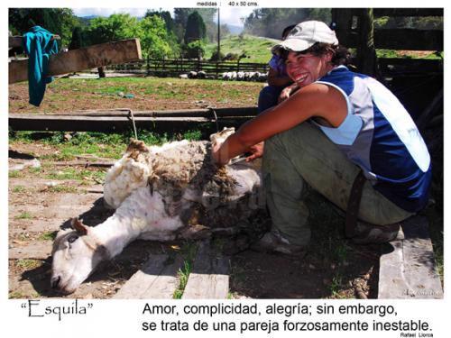Fotografia de fotonatura3d - Galeria Fotografica: AYSN... y las riquezas amenazadas de la patagonia chilena - Foto: ESQUILA