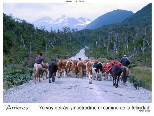 Fotografia de fotonatura3d - Galeria Fotografica: AYSN... y las riquezas amenazadas de la patagonia chilena - Foto: ARRIEROS