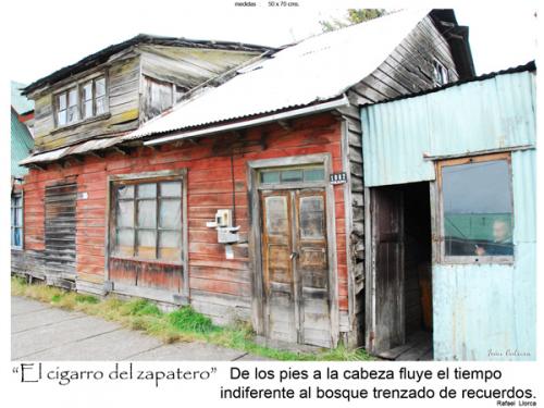 Fotografia de fotonatura3d - Galeria Fotografica: AYSN... y las riquezas amenazadas de la patagonia chilena - Foto: EL CIGARRO DEL ZAPATERO