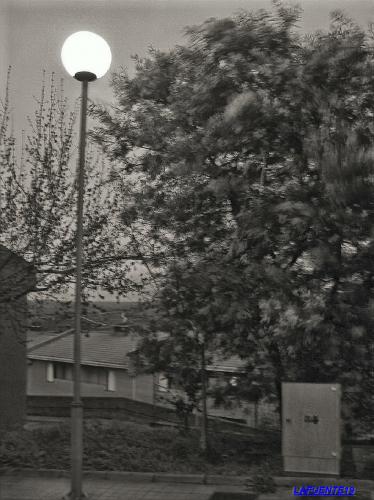 Fotografia de LA FUENTE19 - Galeria Fotografica: LAFUENTE19-2 - Foto: 