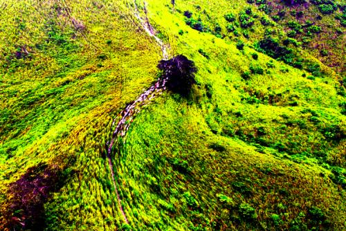 Fotografia de NEURONA DIGITAL - Galeria Fotografica: FOTOGRAFIA AEREA DEL ECUADOR - Foto: CASCADA DE CHIVOS