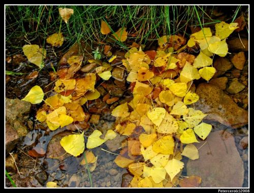 Fotografia de Petercero - Galeria Fotografica: Paisajes de Petercero - Foto: 