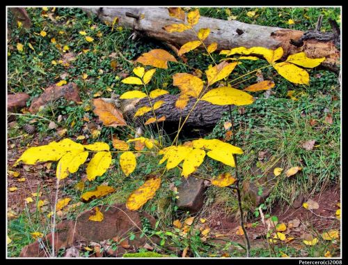 Fotografia de Petercero - Galeria Fotografica: Paisajes de Petercero - Foto: 