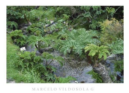 Fotografia de Vildsola Garrig Fotgrafia - Galeria Fotografica: Viajes - Foto: 