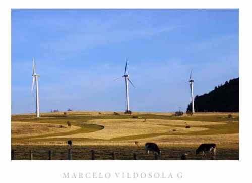 Fotografia de Vildsola Garrig Fotgrafia - Galeria Fotografica: Viajes - Foto: 