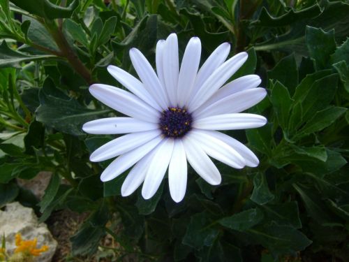 Fotografia de Luna - Galeria Fotografica: Naturaleza - Foto: 