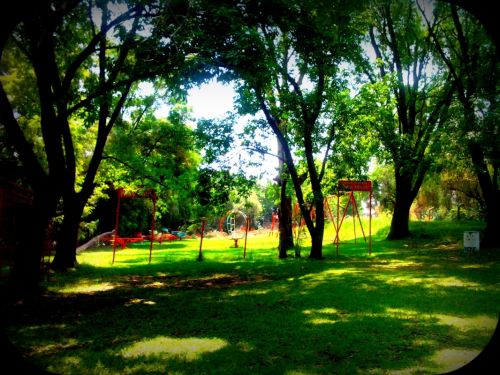 Fotografia de Daay - Galeria Fotografica: Miis primeras fotos - Foto: 