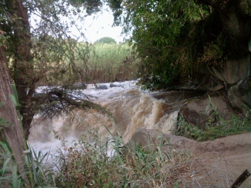 Fotografia de Daay - Galeria Fotografica: Miis primeras fotos - Foto: 