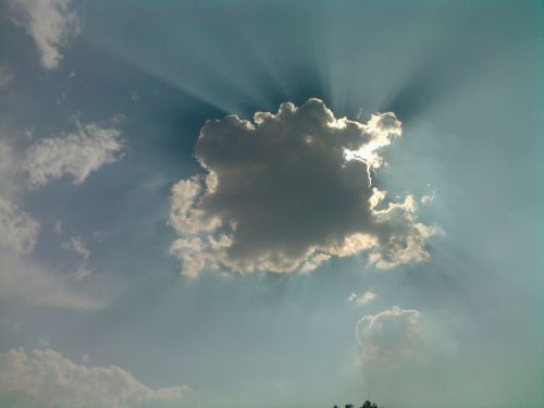 Fotografia de Daay - Galeria Fotografica: Miis primeras fotos - Foto: 