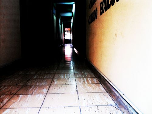 Fotografia de Daay - Galeria Fotografica: Miis primeras fotos - Foto: 