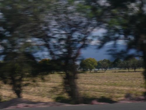 Fotografia de Daay - Galeria Fotografica: Miis primeras fotos - Foto: 