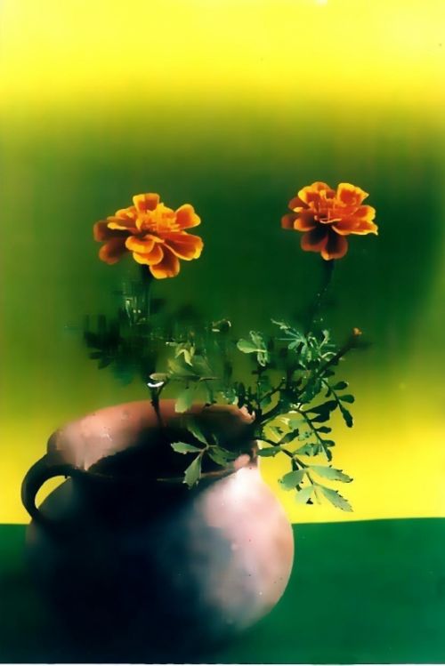 Fotografia de RODOLFO VIDAL - Galeria Fotografica: RODOLFO VIDAL FOTOGRAFIAS - Foto: 