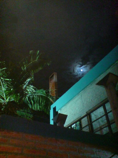 Fotografia de RODOLFO VIDAL - Galeria Fotografica: RODOLFO VIDAL FOTOGRAFIAS - Foto: 