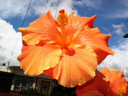 Fotografia de AniMones22 - Galeria Fotografica: Paisajes de mi tierra, Costa Rica - Foto: Atrapando el cielo