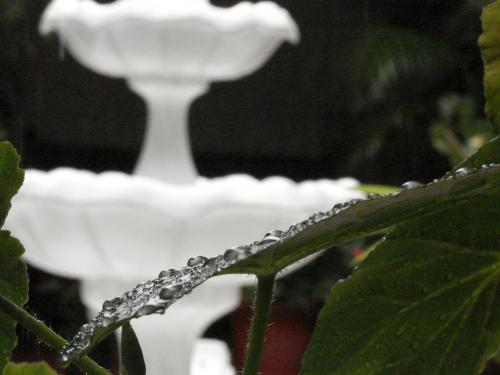 Fotografia de Rafael - Galeria Fotografica: Colonial - Foto: El rocio y la fuente