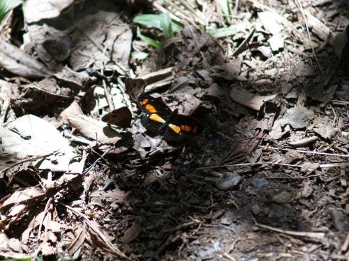 Fotografia de Jara - Galeria Fotografica: Naturaleza - Foto: Contrastes