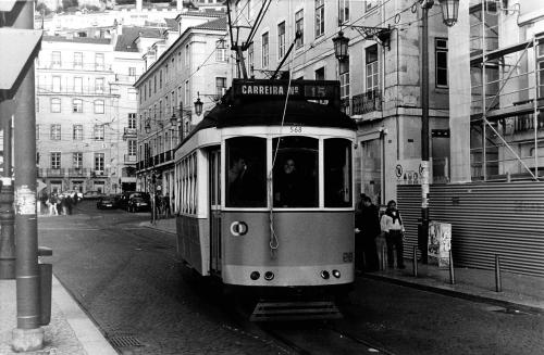 Fotografia de Fran - Galeria Fotografica: Viajes - Foto: Tranva