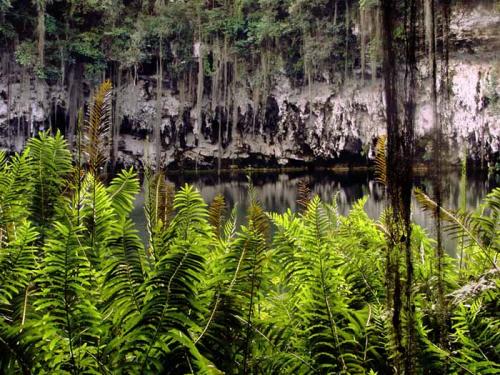 Fotografia de no - Galeria Fotografica: KliK - Foto: Laguna								