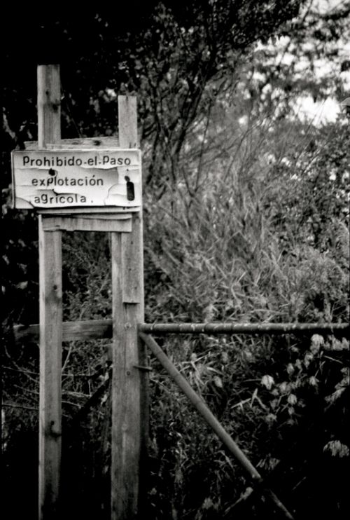 Fotografia de Maqueda - Galeria Fotografica: BN - Foto: 