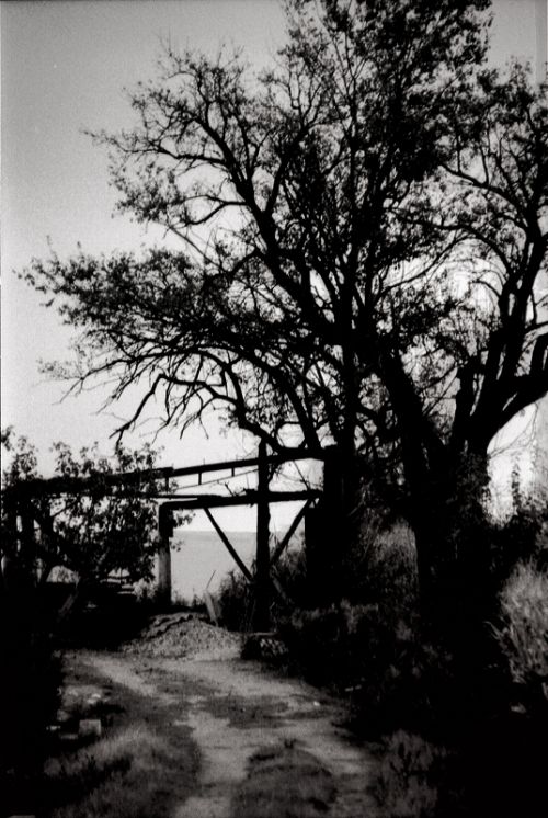 Fotografia de Maqueda - Galeria Fotografica: BN - Foto: 