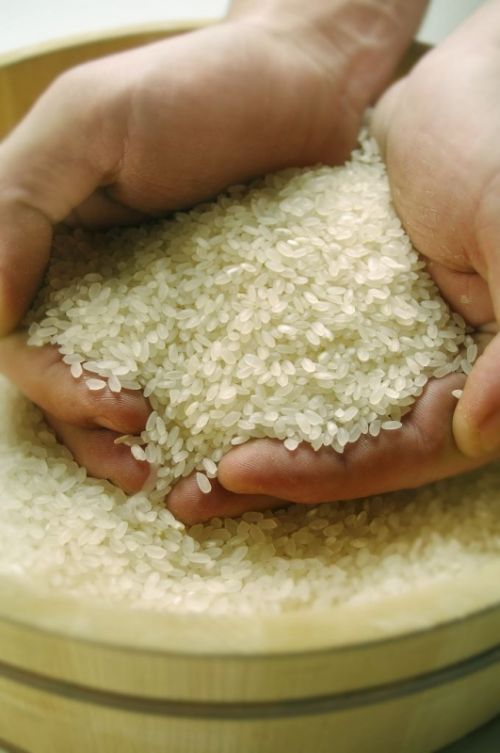 Fotografia de Martin Delsanto - Galeria Fotografica: MARTIN DELSANTO FOTOGRAFO - Foto: 