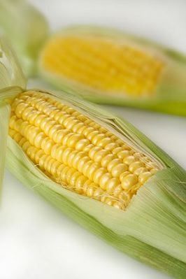 Fotografia de Martin Delsanto - Galeria Fotografica: MARTIN DELSANTO FOTOGRAFO - Foto: 