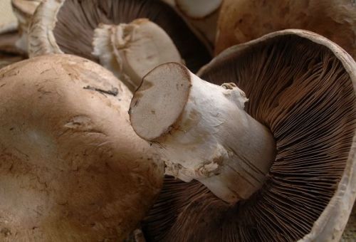 Fotografia de Martin Delsanto - Galeria Fotografica: MARTIN DELSANTO FOTOGRAFO - Foto: 