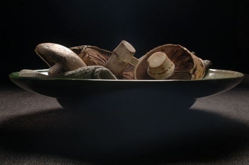 Fotografia de Martin Delsanto - Galeria Fotografica: MARTIN DELSANTO FOTOGRAFO - Foto: 