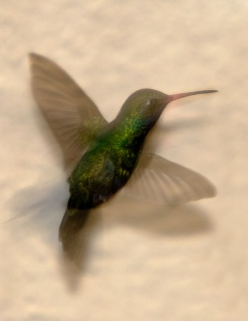 Fotografia de JCS - Galeria Fotografica: Ultima Sesin - Foto: 