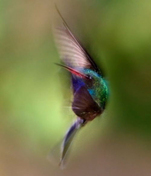 Fotografia de JCS - Galeria Fotografica: Ultima Sesi�n - Foto: 