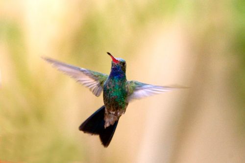 Fotografia de JCS - Galeria Fotografica: Ultima Sesi�n - Foto: 