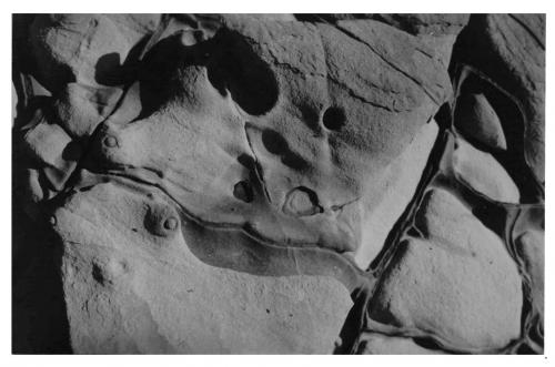 Fotografia de Sin Nombre - Galeria Fotografica: Rocas - Foto: luna