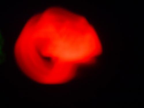 Fotografia de Martin Vazquez - Galeria Fotografica: Autoluminoso - Foto: Luz