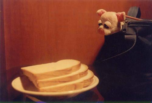 Fotografia de Hugo Velarde - Galeria Fotografica: Luz - Foto: Codicia