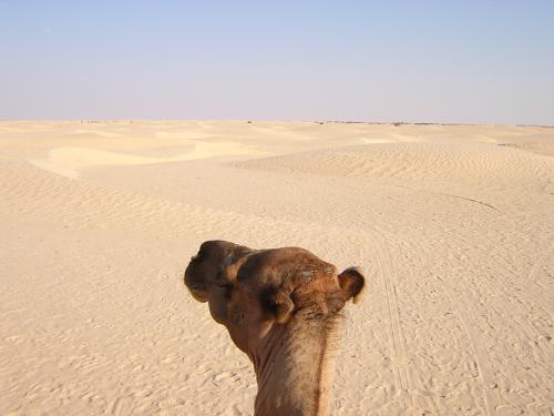 Fotografia de jboyero - Galeria Fotografica: SENSACIONES - Foto: OTRA MIRADA