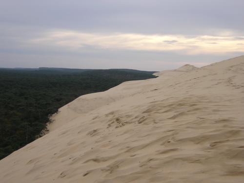 Fotografia de jboyero - Galeria Fotografica: NATURA - Foto: CONTRASTE