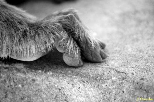 Fotografia de J.Davila - Galeria Fotografica: cosas mias - Foto: 