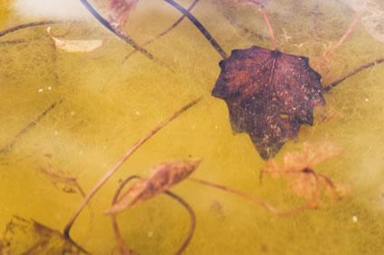 Fotografia de Albert Uriach - Galeria Fotografica: autor2 - Foto: montjuic3