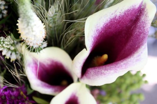 Fotografia de CeCe Fotos - Galeria Fotografica: Bodas - Preparacin - Foto: 