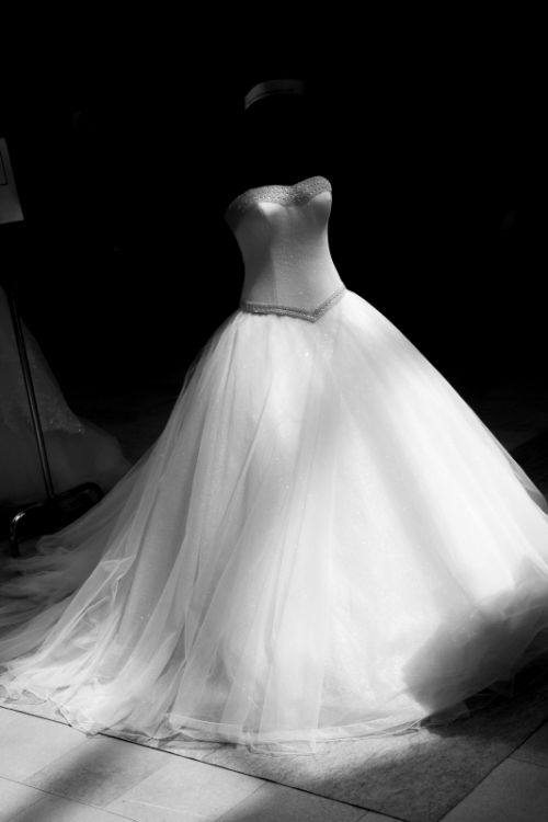 Fotografia de silvio - Galeria Fotografica: Bodas - Foto: Bodas/Weddings