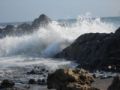 Foto de  ricardo - Galería: Naturaleza - Fotografía: ola en rompimiento