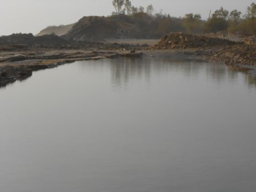 Fotografia de ricardo - Galeria Fotografica: Naturaleza - Foto: 