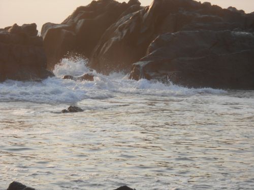 Fotografia de ricardo - Galeria Fotografica: Naturaleza - Foto: 